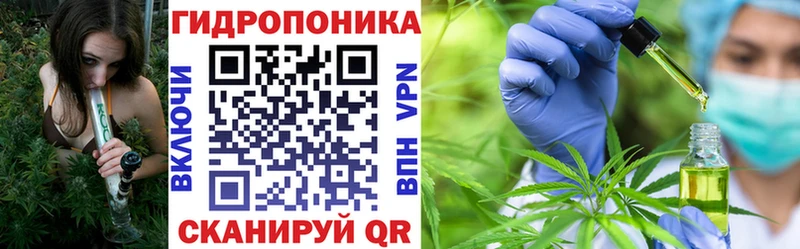 Шишки марихуана планчик  Бокситогорск 